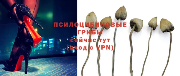 метадон Армянск