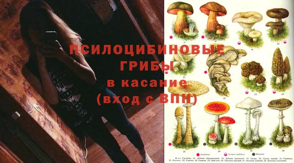 метадон Армянск