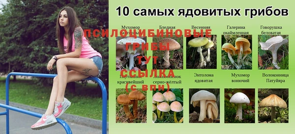 метадон Армянск