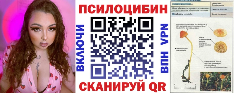 как найти закладки  сайты даркнета телеграм  Псилоцибиновые грибы Psilocybine cubensis  Сафоново 